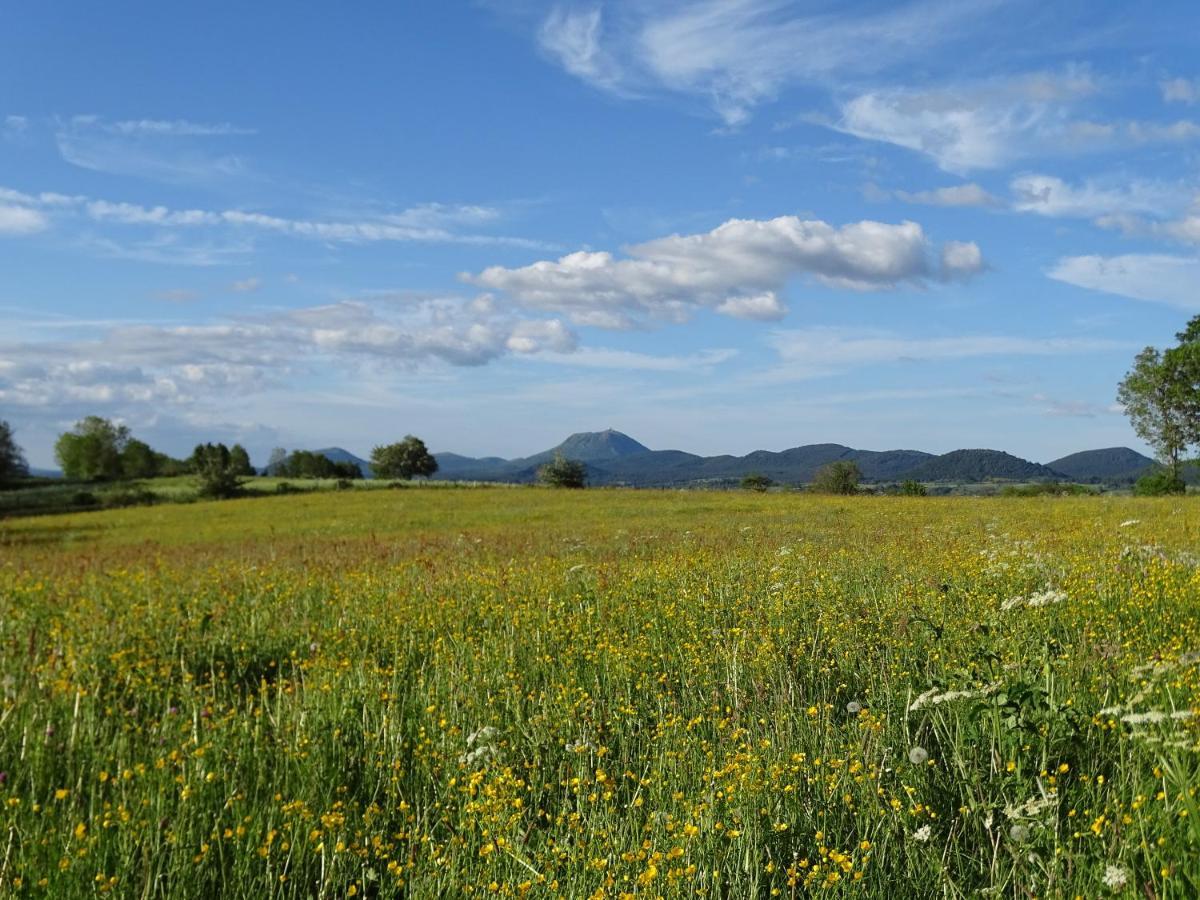 Logis Las Crozas La Cocotte Vernines エクステリア 写真