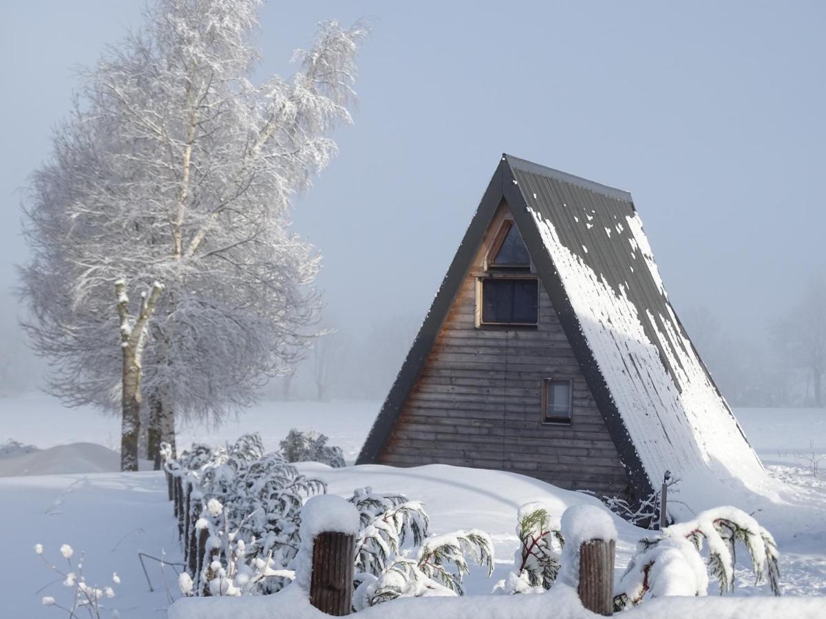 Logis Las Crozas La Cocotte Vernines エクステリア 写真
